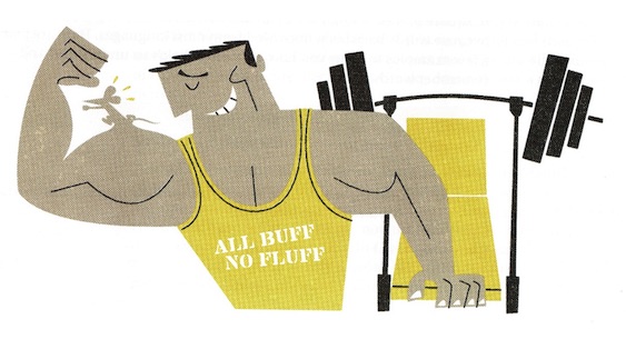 All buff, no fluff